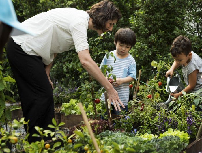 Teacher and kids school learning ecology gardening